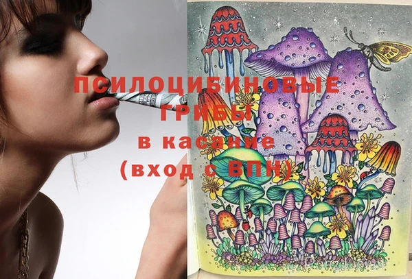 мдма Козловка